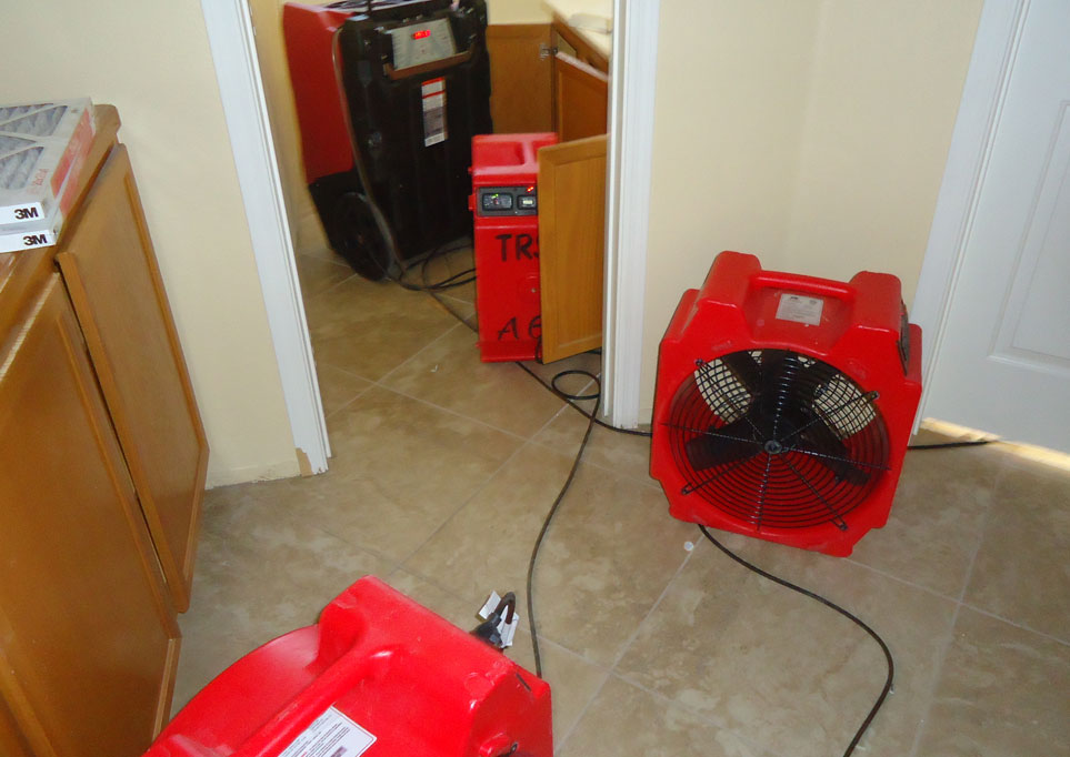 Restored-Right-Sydney-Drying-and-Dehumidifiying-1